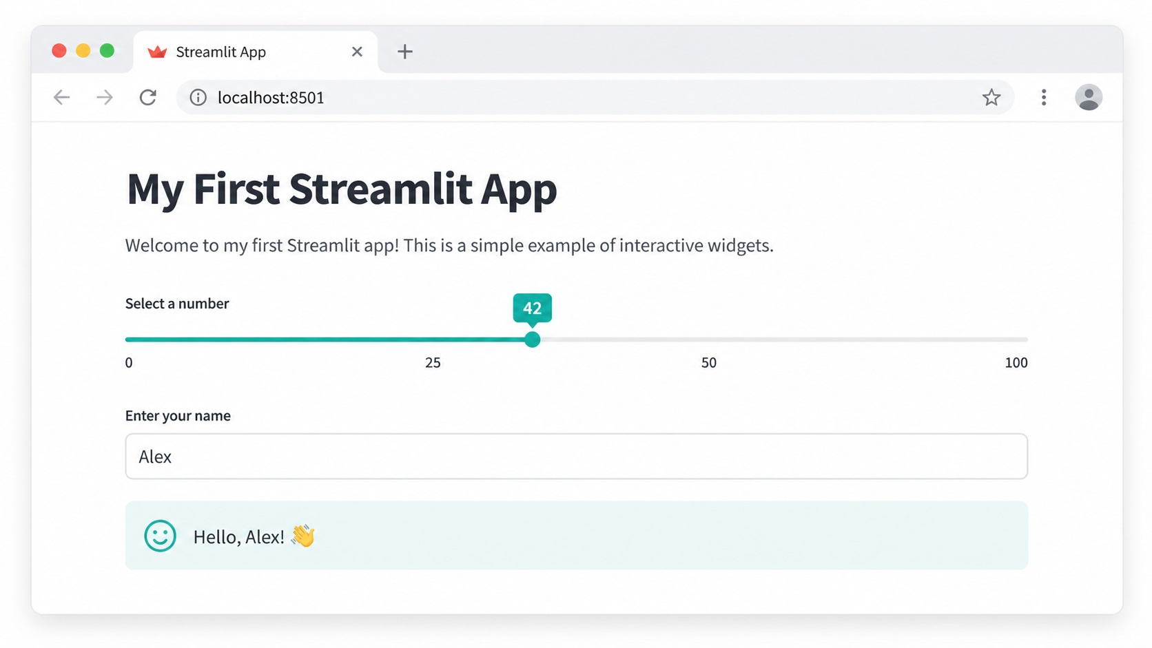 First Streamlit Python app running in browser with slider and text input
