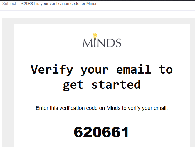 Open the verification email